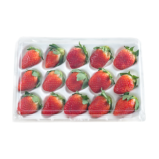 蔬果乐一次性透明塑料草莓包装盒带内托350g500g1000g塑料盒礼品