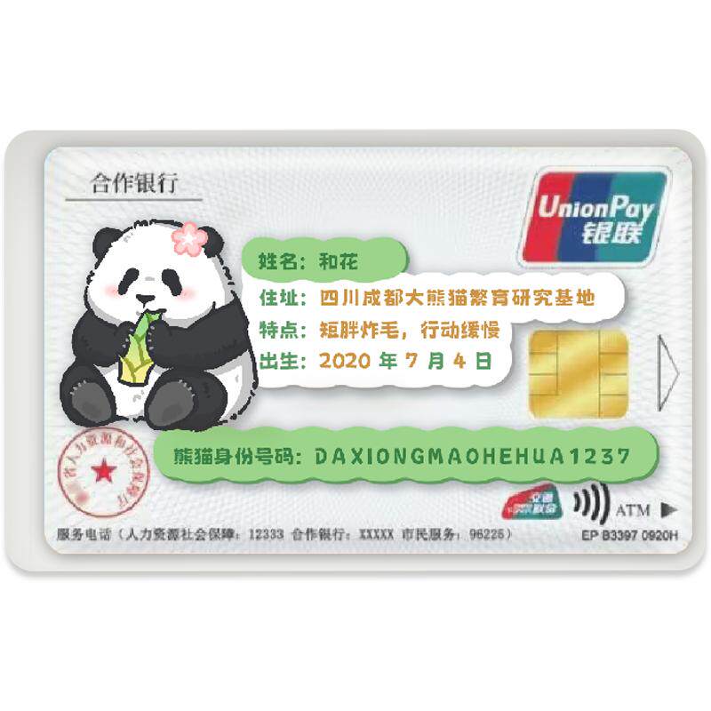 可爱熊猫社保卡港澳通行证保护套卡套/证件套