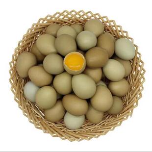 七彩山鸡蛋新鲜农家杂粮喂养天然孕妇宝宝辅食正宗笨土草鸡蛋60枚