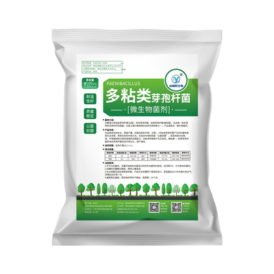 全水溶多粘芽孢杆菌枯萎病青枯病