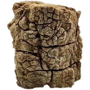 阿拉善沙漠天然木化石硅化木树化玉原石观赏奇石摆件标本科普教学