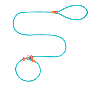 赛级p绳狗狗牵引绳中大型犬训犬犬绳小型犬p链小幼犬防爆冲遛狗绳