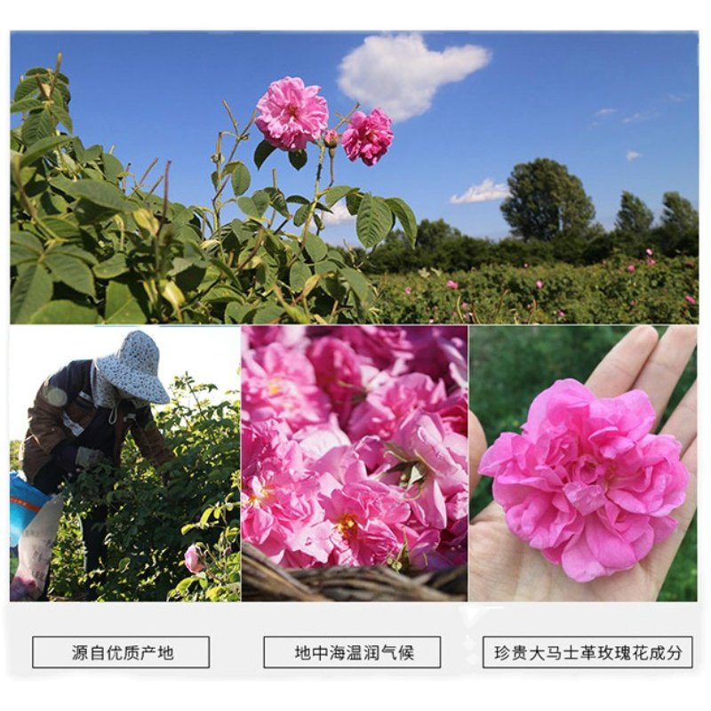 新疆大马士革1000ML玫瑰纯露花水补水保湿天然化妆爽肤水正品喷雾