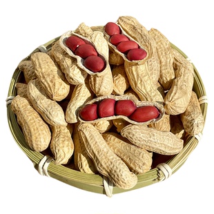 东北红皮花生25年农家新鲜带壳生熟四粒红花生米自种晒干炒货原味