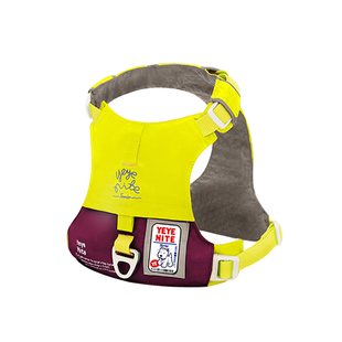 yeyenite椰椰家狗狗胸背中小型犬自动伸缩牵引绳小狗胸背嗨轻平替