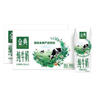 金典旗舰店纯牛奶250ml*16盒*2箱伊利牛奶营养早餐百亿【11月】