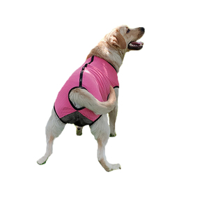 金毛狗狗大中型犬连体生理裤可小便母狗防骚扰月经裤姨妈裤卫生裤