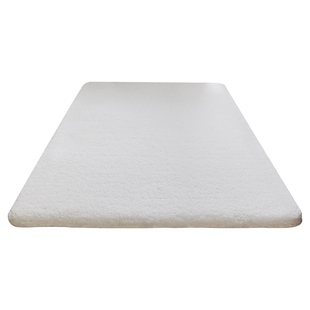 客厅茶几小地毯加厚毛绒榻榻米地垫坐垫整铺少女卧室床边毛毯地垫