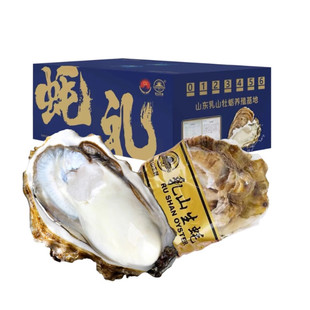 【冷链】鲜活乳山生蚝 特大牡蛎海蛎子 生鲜海鲜水产礼盒装4.5斤