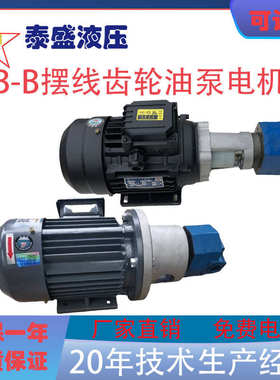 BB-B10 B6 B4 B16摆线齿轮油泵电机组BB-B25 32 63 80 125NJZ-1 Y