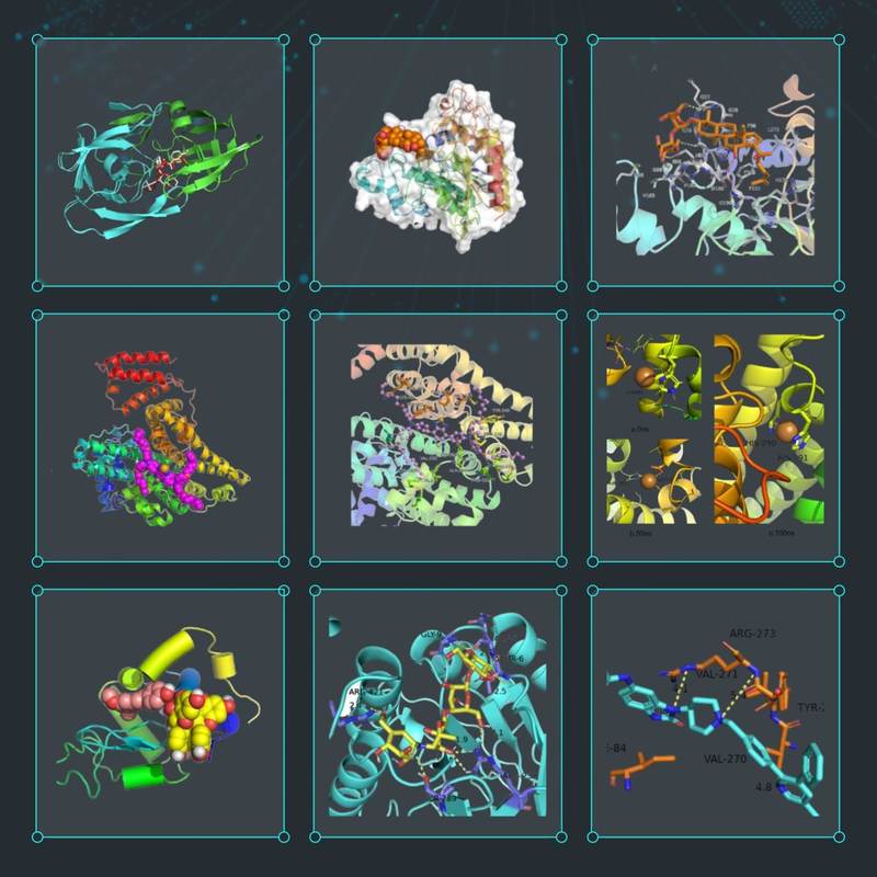代算 分子对接模拟 Gromacs lammps amber 分子动力学模拟 MD MC