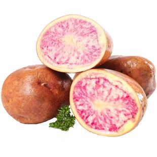 云南七彩土豆10斤现挖新鲜红皮红心小土豆当季蔬菜整箱马铃薯洋芋