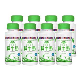 青海湖高原鲜牛奶230ml*8瓶低温营养生牛乳巴氏杀菌儿童早餐牛奶