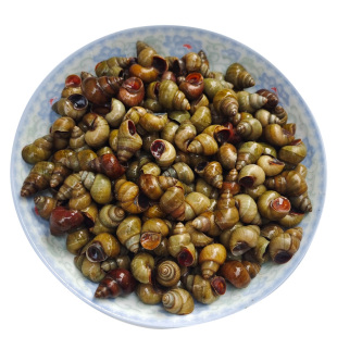 1件5斤新鲜田螺活体活的石螺包活螺蛳粉用螺螺丝肉鲜活石螺顺丰