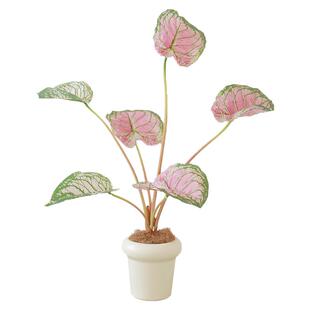 ladylike 彩叶海芋客厅绿植室内盆栽 仿真花高级感逼真假花民宿