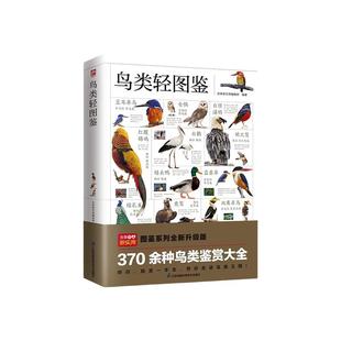 鸟类轻图鉴 近 1000 幅高清彩图,370 余种鸟类鉴赏大全,带您走进不一样的鸟类王国 鸟类知识科普 江苏科技出版 新华书店 博库