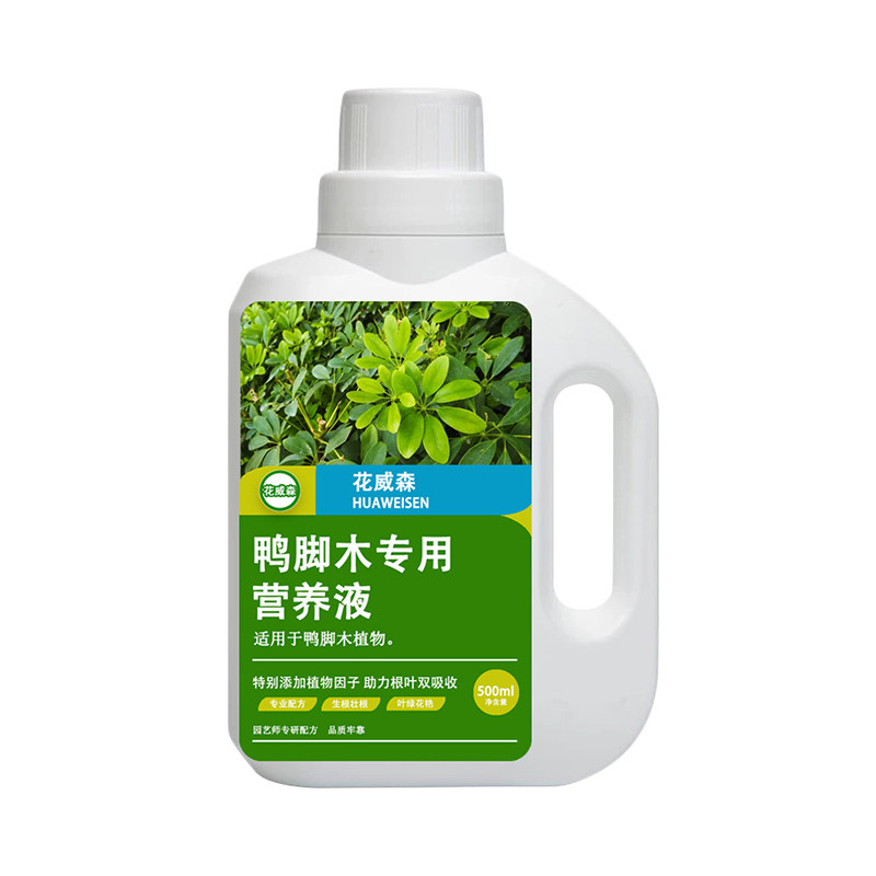 鸭脚木专用营养液鸭掌木专用肥鹅掌木室内绿叶盆栽通用水溶液体肥