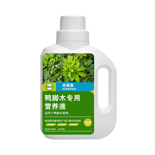 鸭脚木专用营养液鸭掌木专用肥鹅掌木室内绿叶盆栽通用水溶液体肥