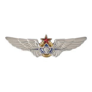 HK中航空周边文创歼20飞机钢铁之翼纪念徽章军迷胸章珠海航展