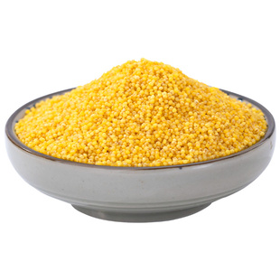 农家黄小米500g新米杂粮小米粥黄小米五谷粗粮熬粥养大米胃糯小米