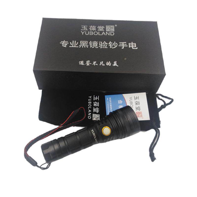 德国22w365便携式验钞灯