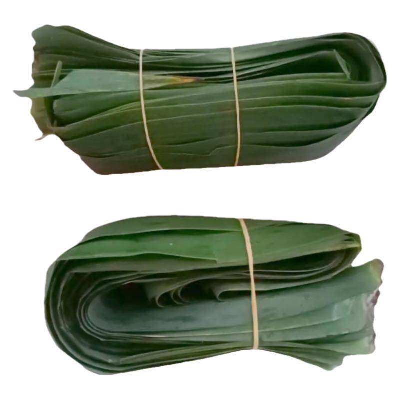 粽子叶芒叶免邮新鲜大号100片粽叶