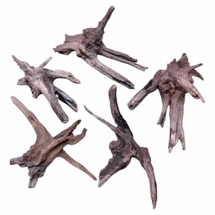 细枝条根须虾木栖根杜鹃根青龙石沉木鱼缸造景素材雨林水陆爬宠