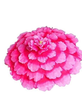 牡丹花伞盛世大型晚会开幕式道具