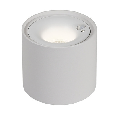 爱多辉入户玄关人体感应明装射灯