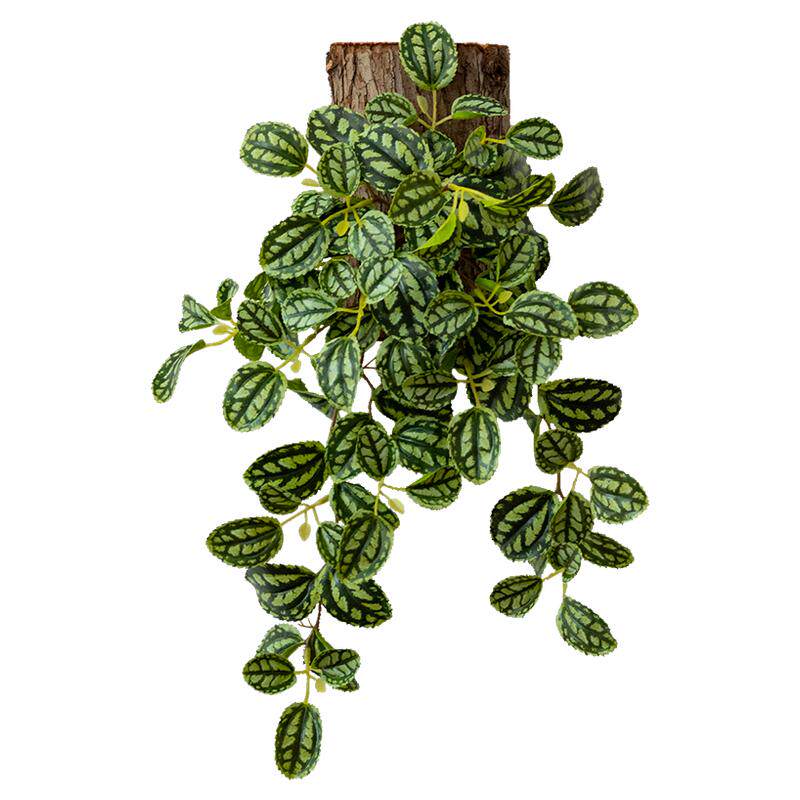 掬涵仿真绿植墙上壁挂垂藤植物仿真假花吊兰波斯蕨类背景墙装饰品