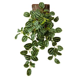 掬涵仿真绿植墙上壁挂垂藤植物仿真假花吊兰波斯蕨类背景墙装饰品