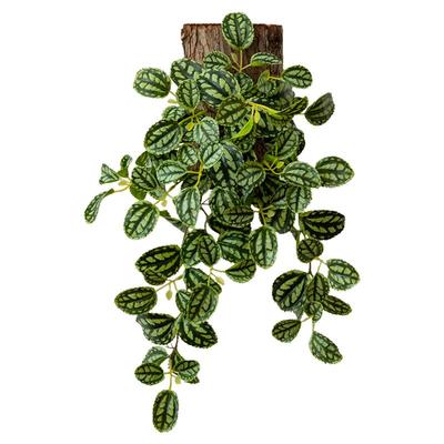 壁挂仿真绿植背景墙装饰铜钱草蕨