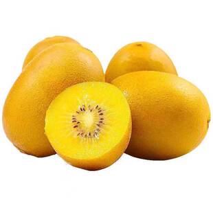 四川黄心猕猴桃黄肉奇异果当季孕妇水果新鲜现摘超甜大果整箱包邮