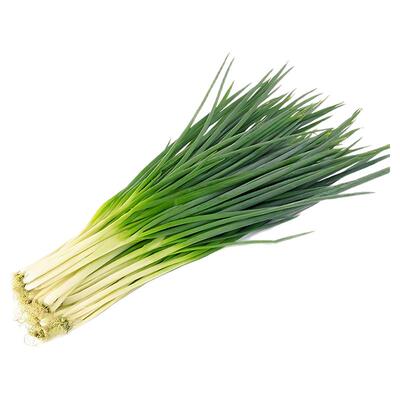 2包四季小香葱种籽子阳台盆栽