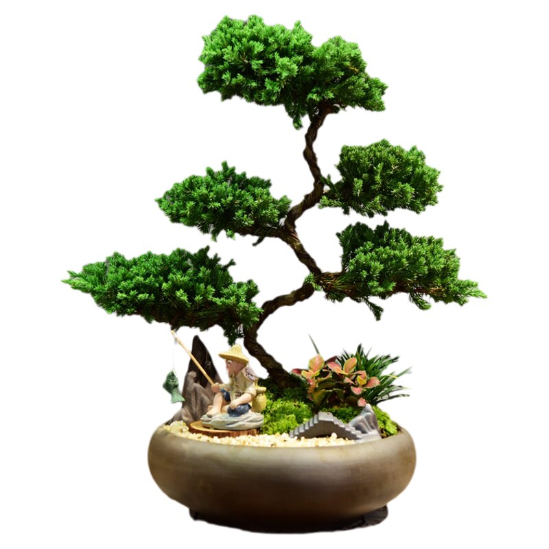 五层造型植物盆景自然空间