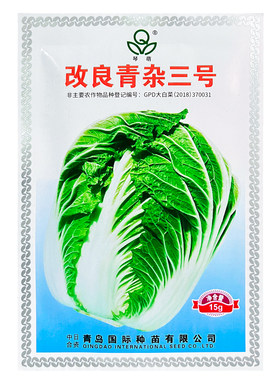 青岛国际琴萌改良青杂三号大白菜种籽秋冬季农家高产优质蔬菜种子