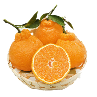 新鲜采摘不知火丑橘四川资中不知火丑橘柑橘整箱发货