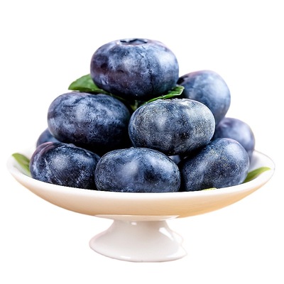 云南高山花香L25新鲜蓝莓鲜果怡当季新鲜现摘高山蓝莓特大果现发