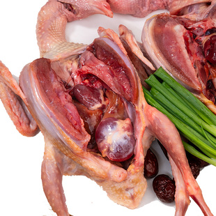 鸽子新鲜宰杀鲜活土鸽子农家散养鸽子肉炖煲汤乳鸽生鲜鸽子肉年货