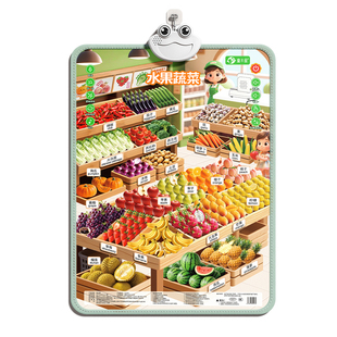 婴幼儿早教有声挂图启蒙宝宝认知发音识字认字看图识物点读墙贴