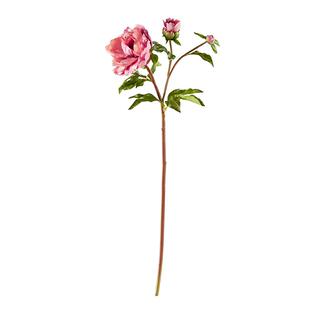 【新品】HarborHouse花艺仿真花假花摆件摆设高级手感牡丹Peony