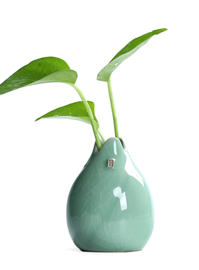 创意陶瓷水培植物花瓶绿萝小清新