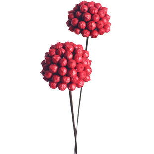 相思红豆花球 艺术干花小清新花艺软装搭配插花圣诞节ins拍摄道具