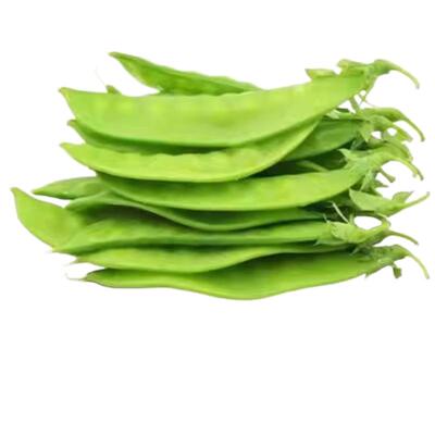 双花双夹甜脆荷兰豆种子秋冬种植