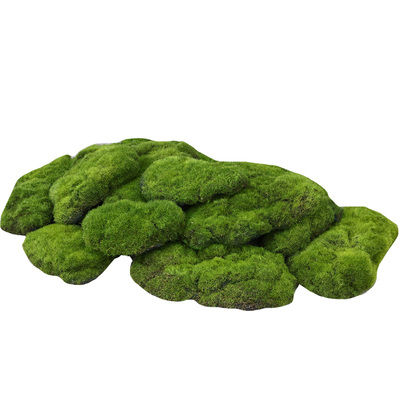 蝶舞仿真苔藓青苔石草坪田园装饰