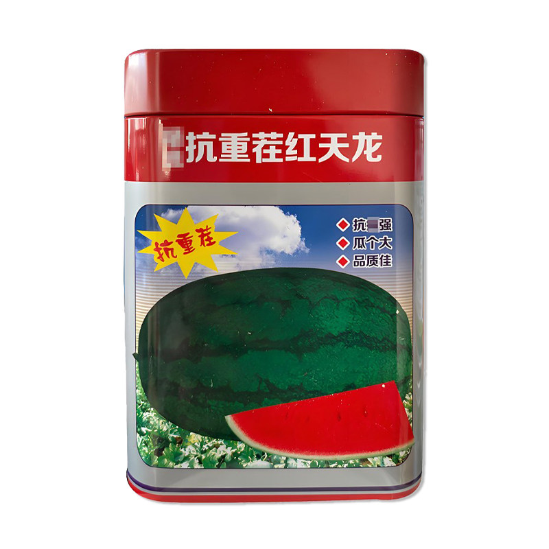 创研抗重茬红天龙西瓜种子