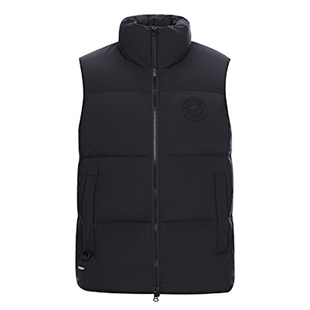 熊猫骆驼羽绒服马甲女款2024新款冬季外穿显瘦700蓬鸭绒立领外套