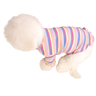 狗狗衣服秋冬泰迪比熊博美小型犬幼犬春秋薄款可爱公主潮牌宠物猫