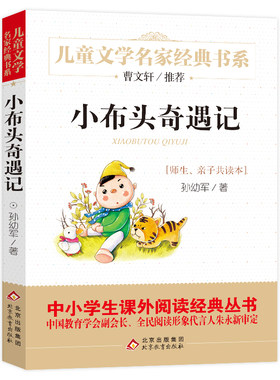 小布头奇遇记儿童文学名家经典