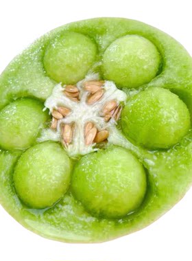 辰颐物语玉菇甜瓜现摘香甜当季